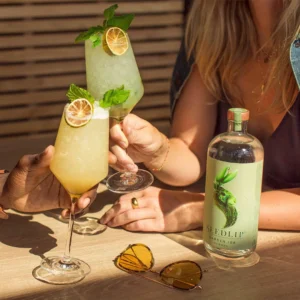 Seedlip-Non-Alcoholic Spirits-in-glass-packaging